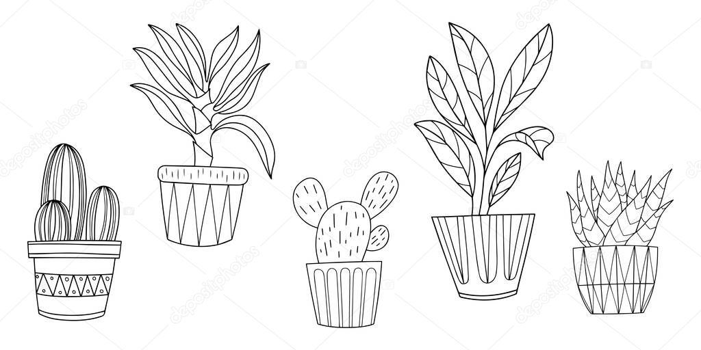 Hand drawn doodle. Houseplants collection. Vector interior plants in pots. Vector illustration set