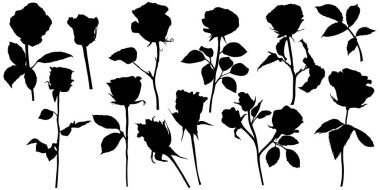 Vector roses silhouettes. Leaves and flowers design elements on white background.