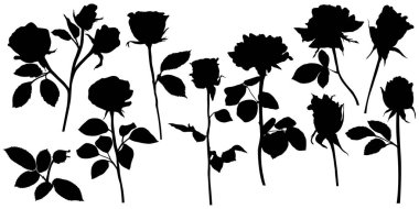 Vector roses silhouettes. Leaves and flowers design elements on white background.
