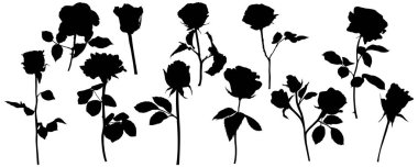 Vector roses silhouettes. Leaves and flowers design elements on white background.