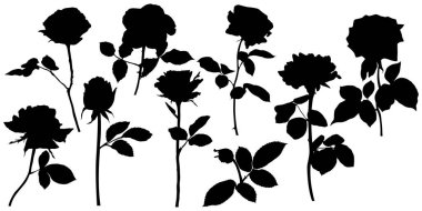 Vector roses silhouettes. Leaves and flowers design elements on white background.