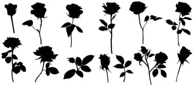 Vector roses silhouettes. Leaves and flowers design elements on white background.