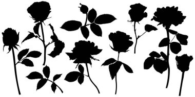 Vector roses silhouettes. Leaves and flowers design elements on white background.