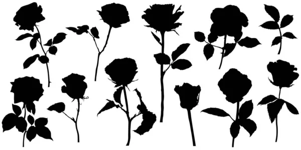 Vector Roses Silhouettes Leaves Flowers Design Elements White Background — Vettoriale Stock