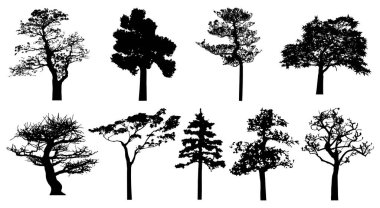  Vector silhouette of trees. Isolated eps 10.