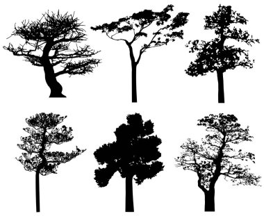  Vector silhouette of trees. Isolated eps 10.