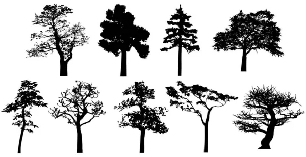  Vector silhouette of trees. Isolated eps 10.