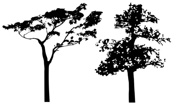 Vector Silhouette Trees Isolated Eps — Stockvektor