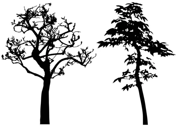 Vector Silhouette Trees Isolated Eps — Stock vektor