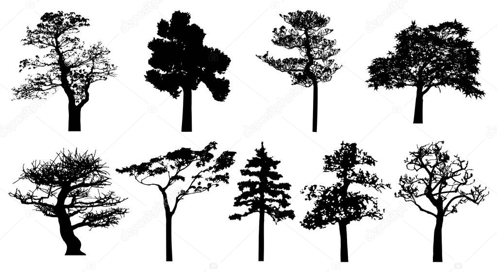  Vector silhouette of trees. Isolated eps 10.