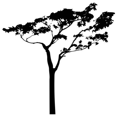 Vector silhouette of tree. Isolated eps 10.