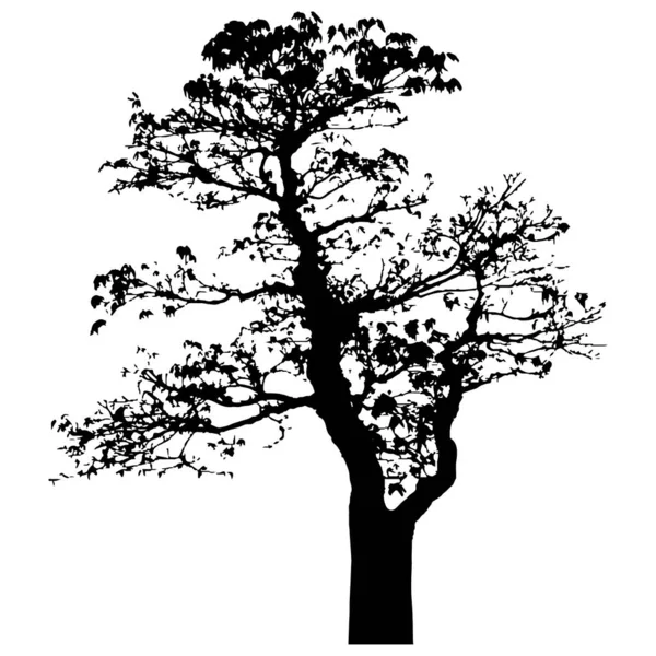 Vector Silhouette Tree Isolated Eps — Vetor de Stock