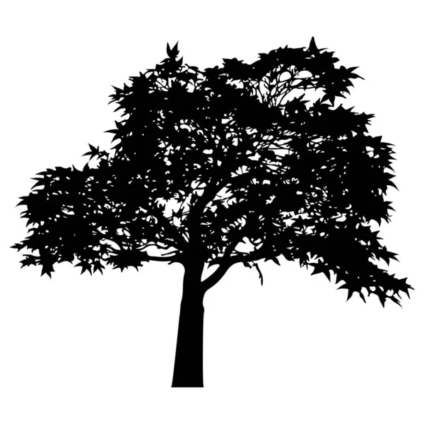 Vector Silhouette Tree Isolated Eps — Stok Vektör
