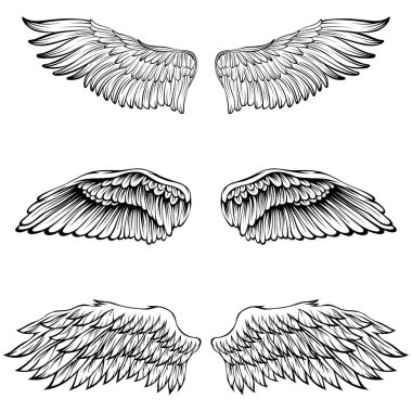 Kuş kanatları vektör illüstrasyon dövme tarzı. El çizimi tasarım ögesi.