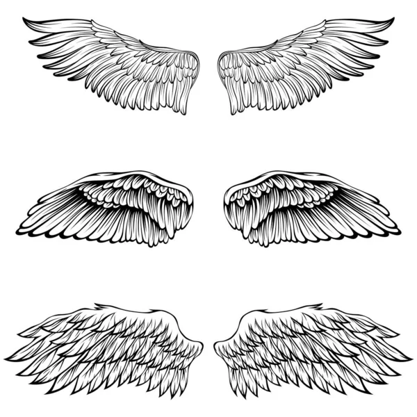 Φτερά Πουλιών Διανυσματική Απεικόνιση Τατουάζ Στυλ Στοιχείο Σχεδιασμού Ζωγραφισμένο Στο — Διανυσματικό Αρχείο