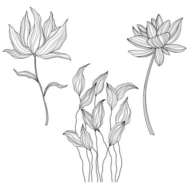 Beyaza izole edilmiş soyut çiçekler. El çizimi vektör çizimi. Eps 10