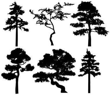Vector silhouette of trees. Isolated eps 10.
