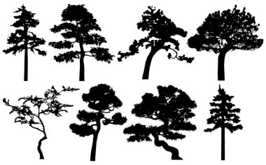 Vector silhouette of trees. Isolated eps 10.