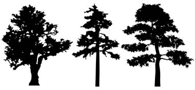 Vector silhouette of trees. Isolated eps 10.