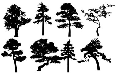 Vector silhouette of trees. Isolated eps 10.