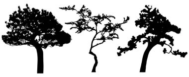 Vector silhouette of trees. Isolated eps 10.