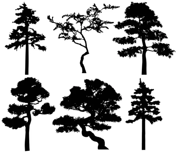 Vector Silhouette Trees Isolated Eps — Stockvector