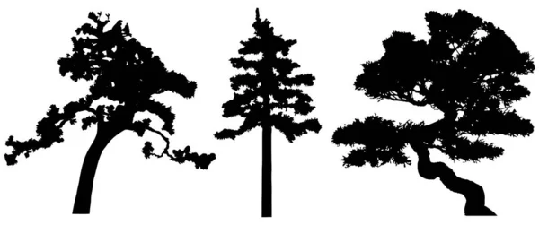 Vector Silhouette Trees Isolated Eps — Vetor de Stock