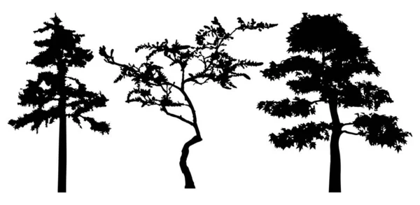 Vector Silhouette Trees Isolated Eps — Stock vektor