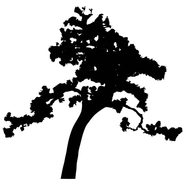 Vector Silhouette Tree Isolated Eps — Stok Vektör