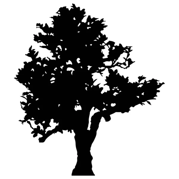 Vector Silhouette Tree Isolated Eps — Stok Vektör