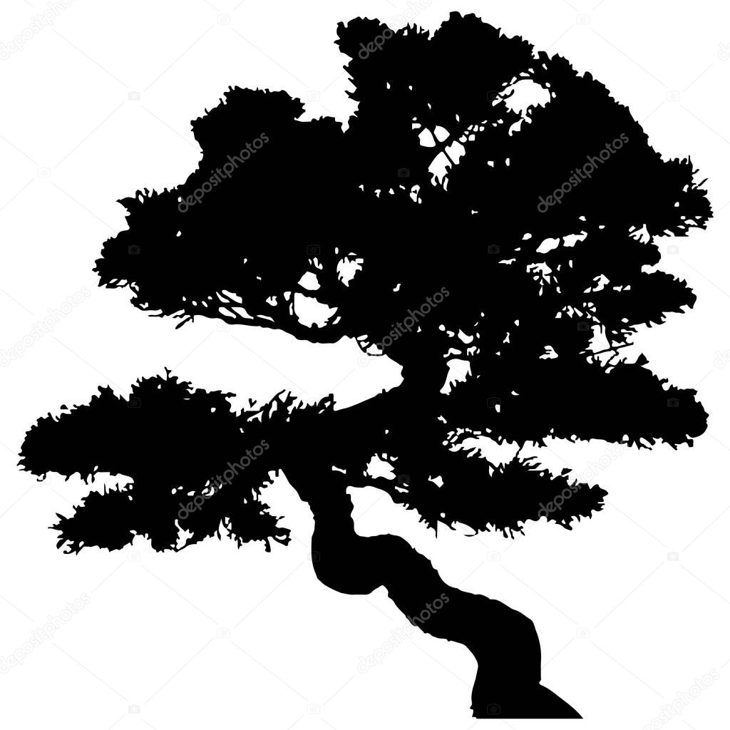   Vector silhouette of tree. Isolated eps 10.