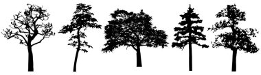 Vector silhouette of trees. Isolated eps 10. 