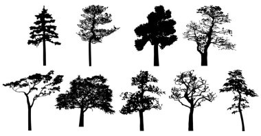 Vector silhouette of trees. Isolated eps 10. 