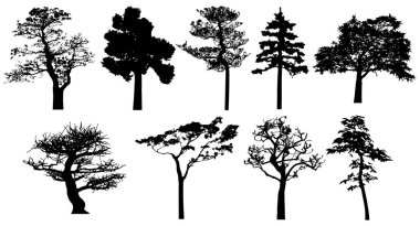 Vector silhouette of trees. Isolated eps 10. 