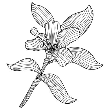 Leaves and flower isolated on white. Hand drawn vector illustration.