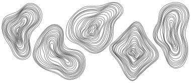Soyut ağaç halkaları. Vektör topografik harita konsepti. Kusursuz bir geçmişi var. Beyaz üzerine ince siyah çizgiler