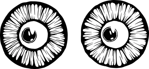 Eyes Illustration Iris Decorative Image Circle Vector Line Sketch — 스톡 벡터