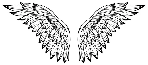 Bird Wings Vector Ilustração Tatuagem Estilo Elemento Design Desenhado Mão —  Vetores de Stock