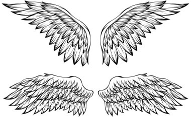 Kuş kanatları vektör illüstrasyon dövme tarzı. El çizimi tasarım ögesi.