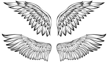 Kuş kanatları vektör illüstrasyon dövme tarzı. El çizimi tasarım ögesi.