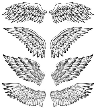 Kuş kanatları vektör illüstrasyon dövme tarzı. El çizimi tasarım ögesi.