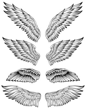 Kuş kanatları vektör illüstrasyon dövme tarzı. El çizimi tasarım ögesi.