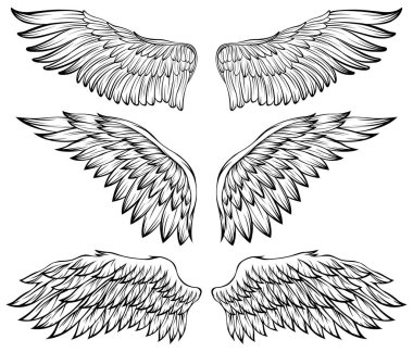 Kuş kanatları vektör illüstrasyon dövme tarzı. El çizimi tasarım ögesi.