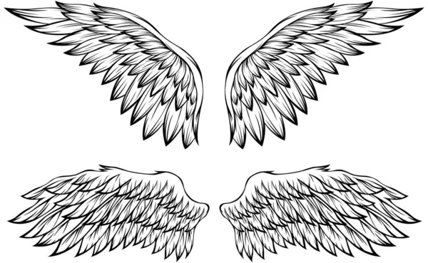 Φτερά Πουλιών Διανυσματική Απεικόνιση Τατουάζ Στυλ Στοιχείο Σχεδιασμού Ζωγραφισμένο Στο — Διανυσματικό Αρχείο