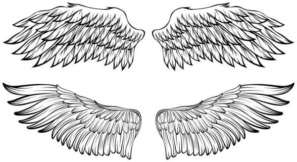 Bird Wings Vector Ilustração Tatuagem Estilo Elemento Design Desenhado Mão — Vetor de Stock