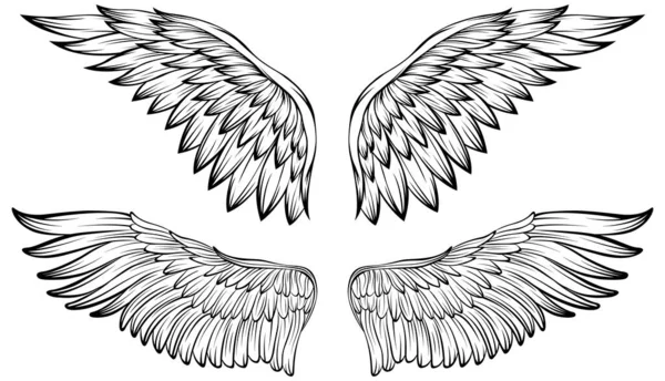 Illustration Vectorielle Ailes Oiseau Style Tatouage Élément Conception Dessiné Main — Image vectorielle