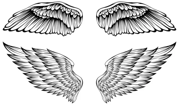 Illustration Vectorielle Ailes Oiseau Style Tatouage Élément Conception Dessiné Main — Image vectorielle