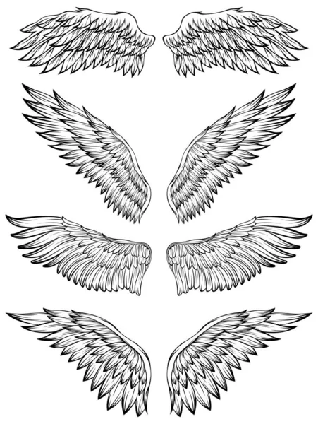 Bird Wings Vector Ilustração Tatuagem Estilo Elemento Design Desenhado Mão —  Vetores de Stock