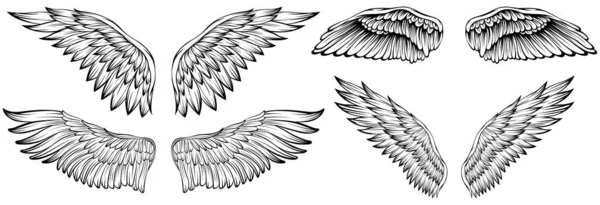 Bird Wings Vector Ilustração Tatuagem Estilo Elemento Design Desenhado Mão —  Vetores de Stock