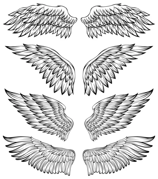 Illustration Vectorielle Ailes Oiseau Style Tatouage Élément Conception Dessiné Main — Image vectorielle